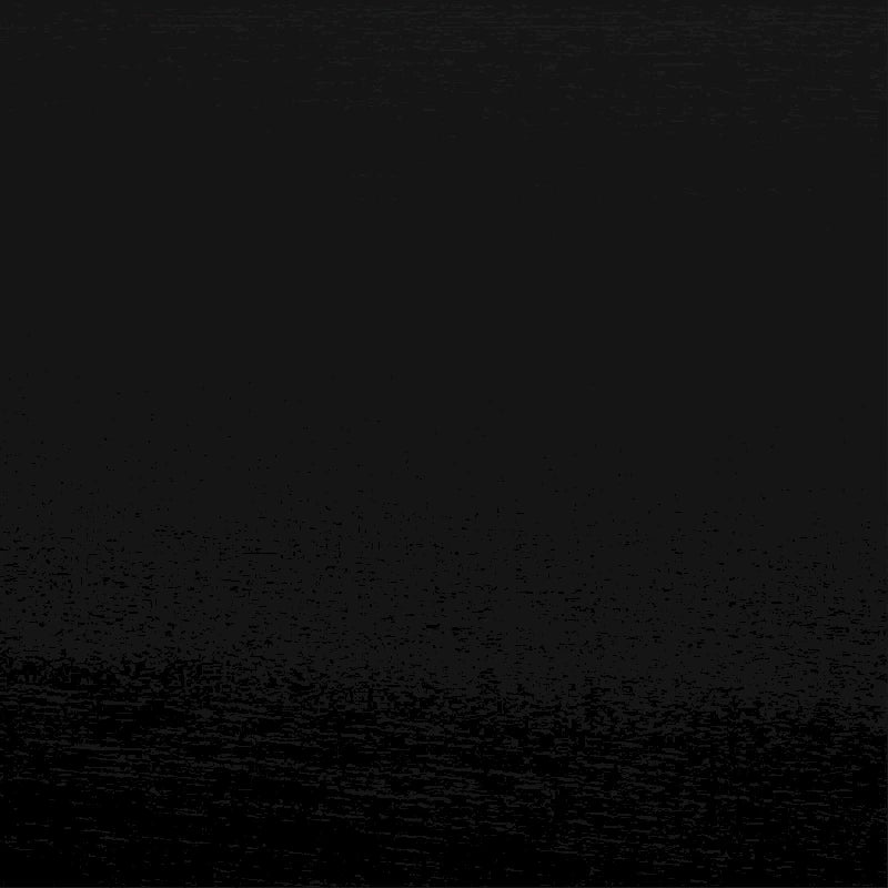 CraftPorch Rustic Wooden Twin Size Daybed With Trundle