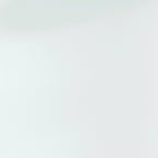 CraftPorch Contemporary Twin Size Metal Daybed with Trundle