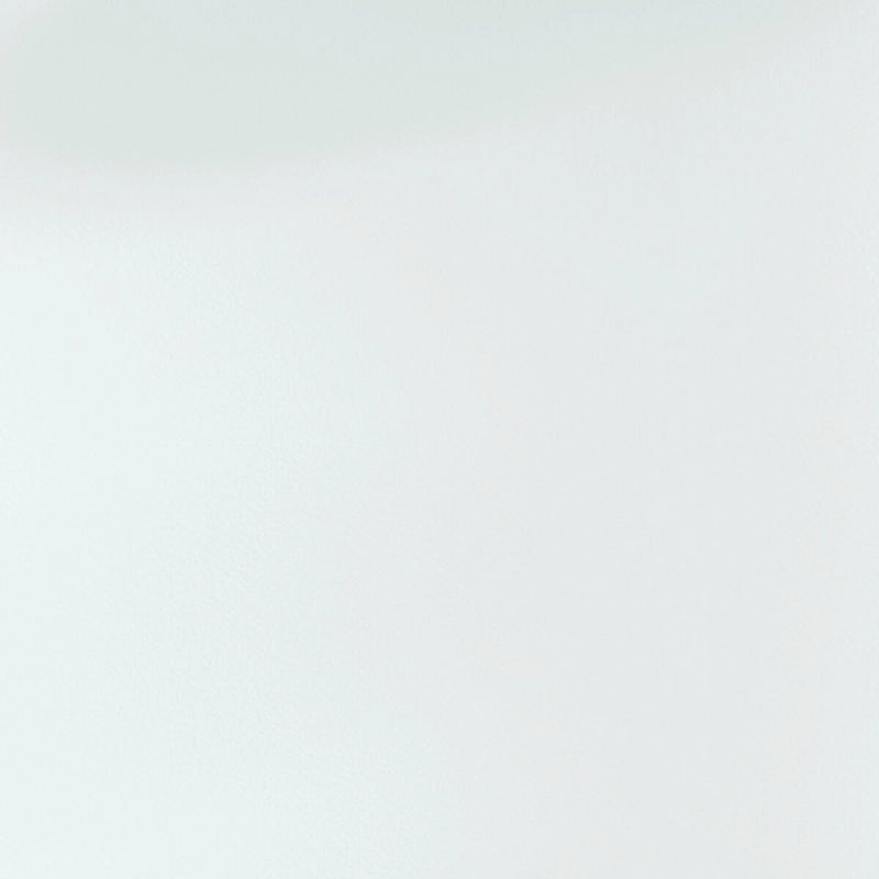 CraftPorch Contemporary Twin Size Metal Daybed with Trundle